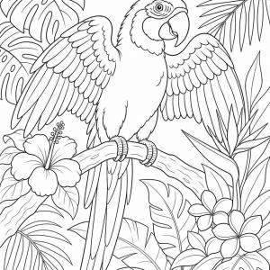 coloriage oiseau exotique aras