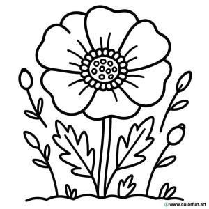 dibujo para colorear amapola vintage